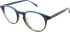 SALT. TURTLE glasses in Blue/Brown