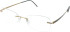 Silhouette 5529 HC glasses in Gold/Grey