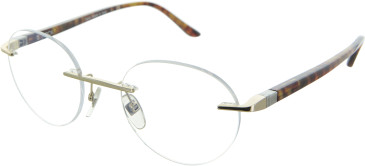 Starck SH2024 glasses in Gold/Tortoise