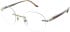 Starck SH2024 glasses in Gold/Tortoise