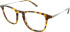 William Morris 8550 glasses in Tortoise