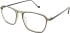 William Morris LN50139 glasses in Light Brown Crystal
