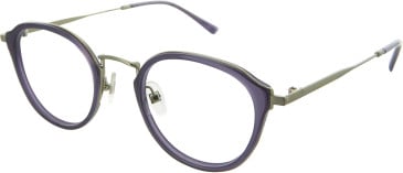 William Morris LN50194 glasses in Antique Gold/Purple