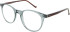 Hackett HEB148 glasses in Blue