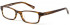 RADLEY Prescription Glasses