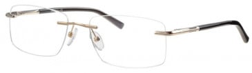 Ferucci FE2014 Glasses in Gold