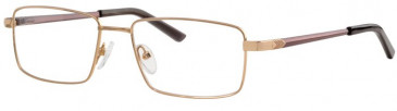 Ferucci FE2003 Glasses in Gold