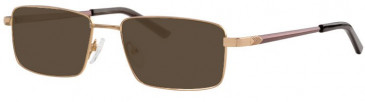 Ferucci FE2003 Sunglasses in Gold
