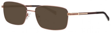 Ferucci FE2012 Sunglasses in Bronze