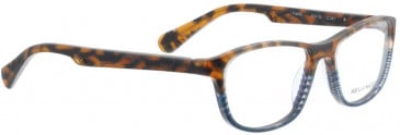 Bellinger FALLON-241 Glasses in Brown