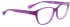 Bellinger GREEK-661 Glasses in Bright Purple/Pink