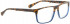 Bellinger JR-242 Glasses in Matt Brown Pattern/Blue