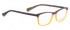 Bellinger SUNTOP-239 Glasses in Brown/Yellow