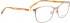 Bellinger EAGLE-9700 Glasses in Matt Gold