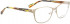 Bellinger RIBS-2-9700 Glasses in Gold