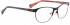 Bellinger SUNDANCER-9069 Glasses in Matt Black/Cherry