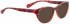 Bellinger AMANDA-110 Sunglasses in Red Pattern