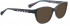 Bellinger GREEK-463 Sunglasses in Blue Grey Combination