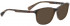 Bellinger TRICAB-242 Sunglasses in Matt Brown/Blue Pattern