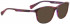 Bellinger TRICAB-160 Sunglasses in Red/Purple Pattern