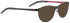 Bellinger SANDLAU-6-9366 Sunglasses in Black