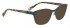 Bellinger RIBS-2-2849 Sunglasses in Matt Brown/Blue