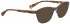 Bellinger SUEELLEN-2848 Sunglasses in Brown