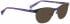 Bellinger SUNDANCER-4660 Sunglasses in Dark Blue/Bright Purple