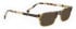 Bellinger BOUNCE-5-208 Sunglasses in Yellow/Brown Tortoiseshell