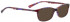 Bellinger EASY-610 Sunglasses in Purple/Brown Pattern