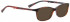 Bellinger EASY-236 Sunglasses in Brown/Pink/Green Pattern