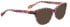 Bellinger GREEK-260 Sunglasses in Brown Pattern