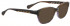 Bellinger GREEK-263 Sunglasses in Brown/Purple Pattern