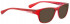 Bellinger HUSTLER-1-169 Sunglasses in Layered Aceate Mix