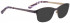 Bellinger GOLDLINE-1-6897 Sunglasses in Dark Purple/Matt Gold