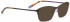 Bellinger STELLA-4-2863 Sunglasses in Brown