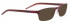 Bellinger GATEWAY-3-6900 Sunglasses in Aubergine