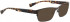 Bellinger GENTS-1-2800 Sunglasses in Brown