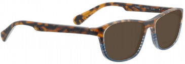 Bellinger FALLON-241 Sunglasses in Brown