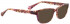Bellinger PATROL-260 Sunglasses in Brown Tortoiseshell