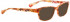 Bellinger PATROL-253 Sunglasses in Light Brown Pattern
