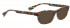 Bellinger PIT-1-238 Sunglasses in Brown/Blue Pattern