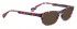 Bellinger PIT-1-610 Sunglasses in Purple/Red Pattern