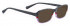 Bellinger STAR-768 Sunglasses in Matt Grey/Purple