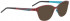 Bellinger JETSTREAM-6948 Sunglasses in Aubergine