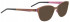 Bellinger JETSTREAM-6566 Sunglasses in Metallic