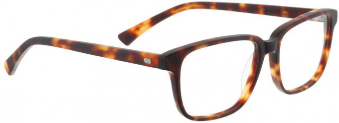 Entourage of 7 GRACE Glasses in Brown