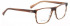 Entourage of 7 GRIFFITH Glasses in Brown