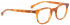Entourage of 7 HANK-XS Glasses in Light Brown