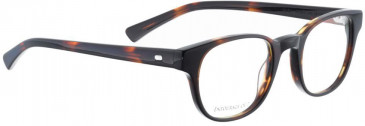 Entourage of 7 HUEY Glasses in Dark Tortoiseshell